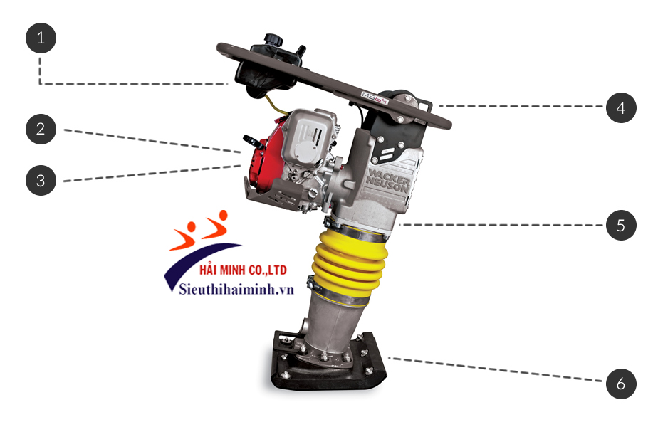 Máy đầm cóc Wacker Neuson MS64A